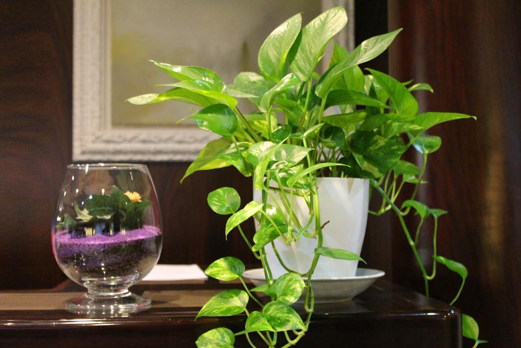 Venice Michelangelo Hotel Mestre Zewnętrze zdjęcie